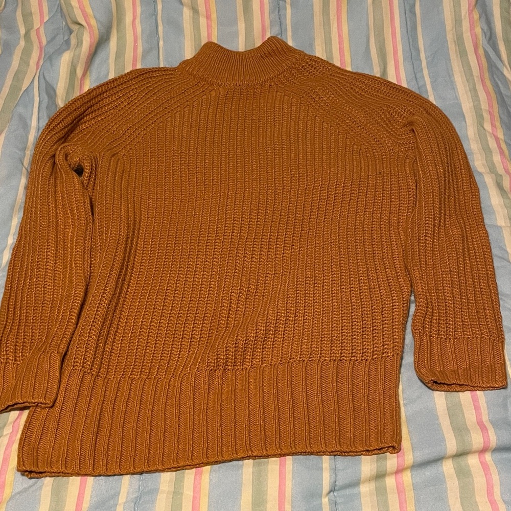 Arizona Jean Company Women's Tan Turtleneck Sweater